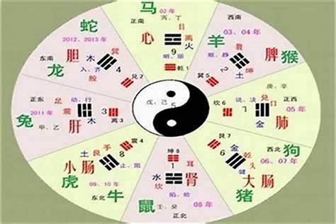 字的五行|汉字五行属性查询